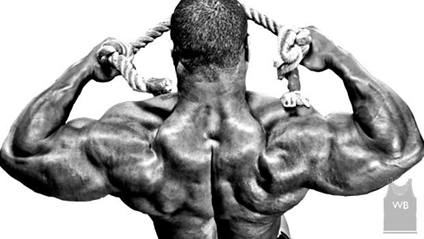 Favorite Lifts: Cross Face Lying Tricep Extension & Cable Face Pulls