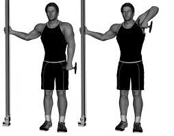 Favorite Lifts One Arm Dumbbell Upright Rows and Behind The Back