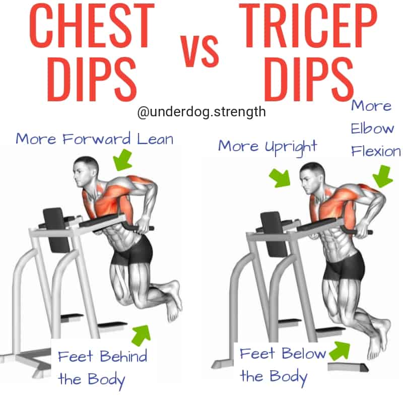 Dips Triceps vs Chest